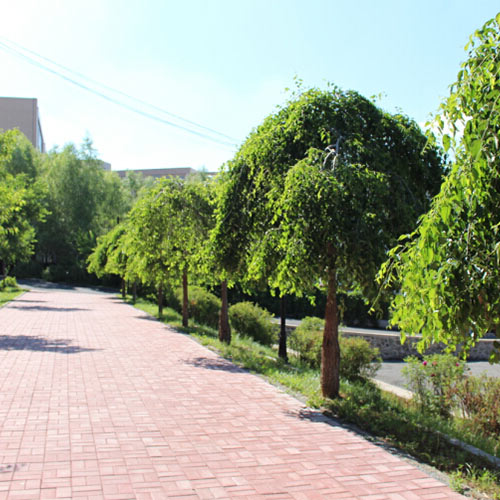 学校环境